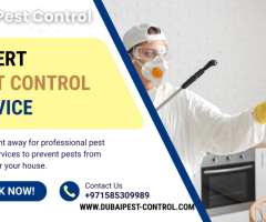 Pest Control Dubai