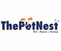 Dog Grooming Bangalore - ThePetNest