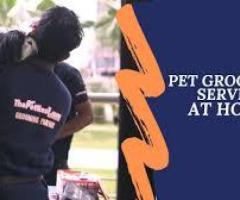 Dog Grooming Service in Hyderabad  - By ThePetNest