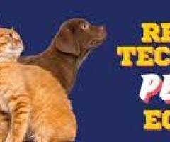 Online Vet Consultation - ThePetNest